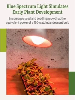 Miracle LED® Absolute Daylight™ Max Flowering Grow Light Bulb 13 Miracle LED® Absolute Daylight™ Max Flowering Grow Light Bulb -Garden Care Shop Miracle Daylight Bulb 4