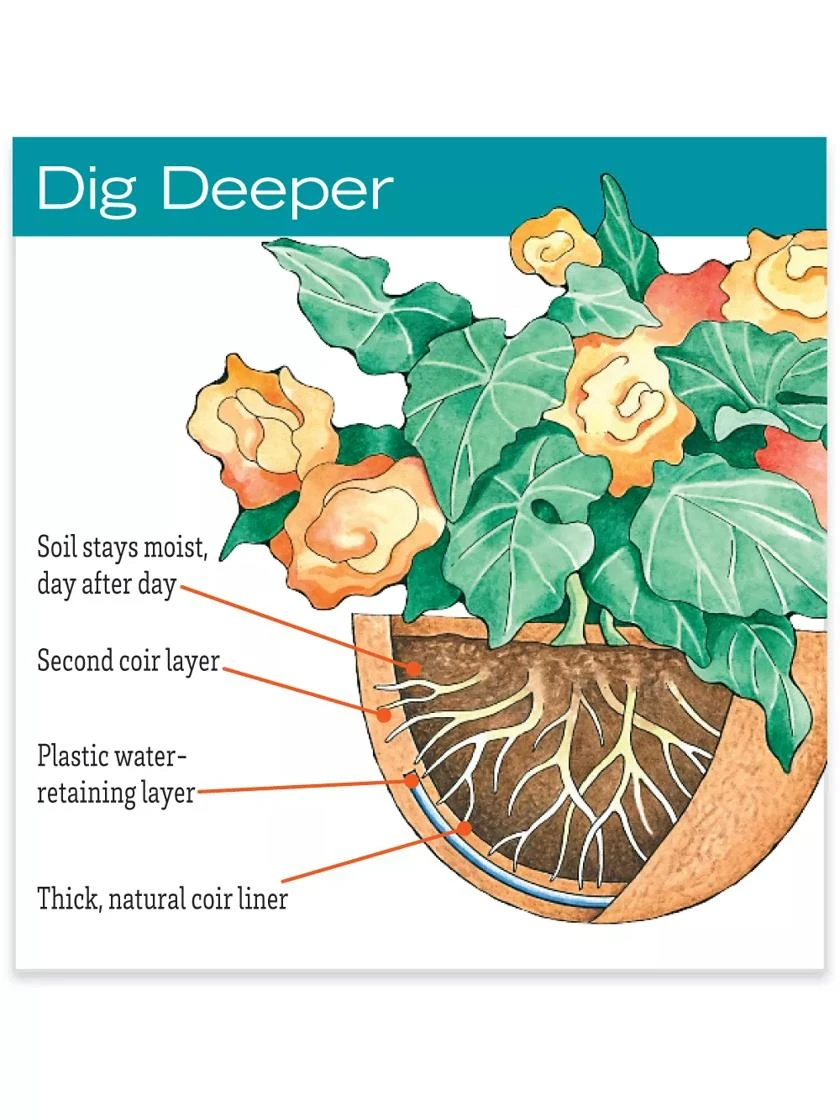 AquaSav™ Oxford Hanging Basket, 18" 4 AquaSav™ Oxford Hanging Basket, 18" - Image 2