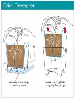 Stoneware Self-Watering Windowsill Planters, Set Of 2 11 Stoneware Self-Watering Windowsill Planters, Set Of 2 -Garden Care Shop hiw 8593943 jpg